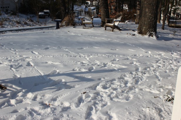 9DCB591B-A9CE-4C16-BEDB-E07A5D872A03